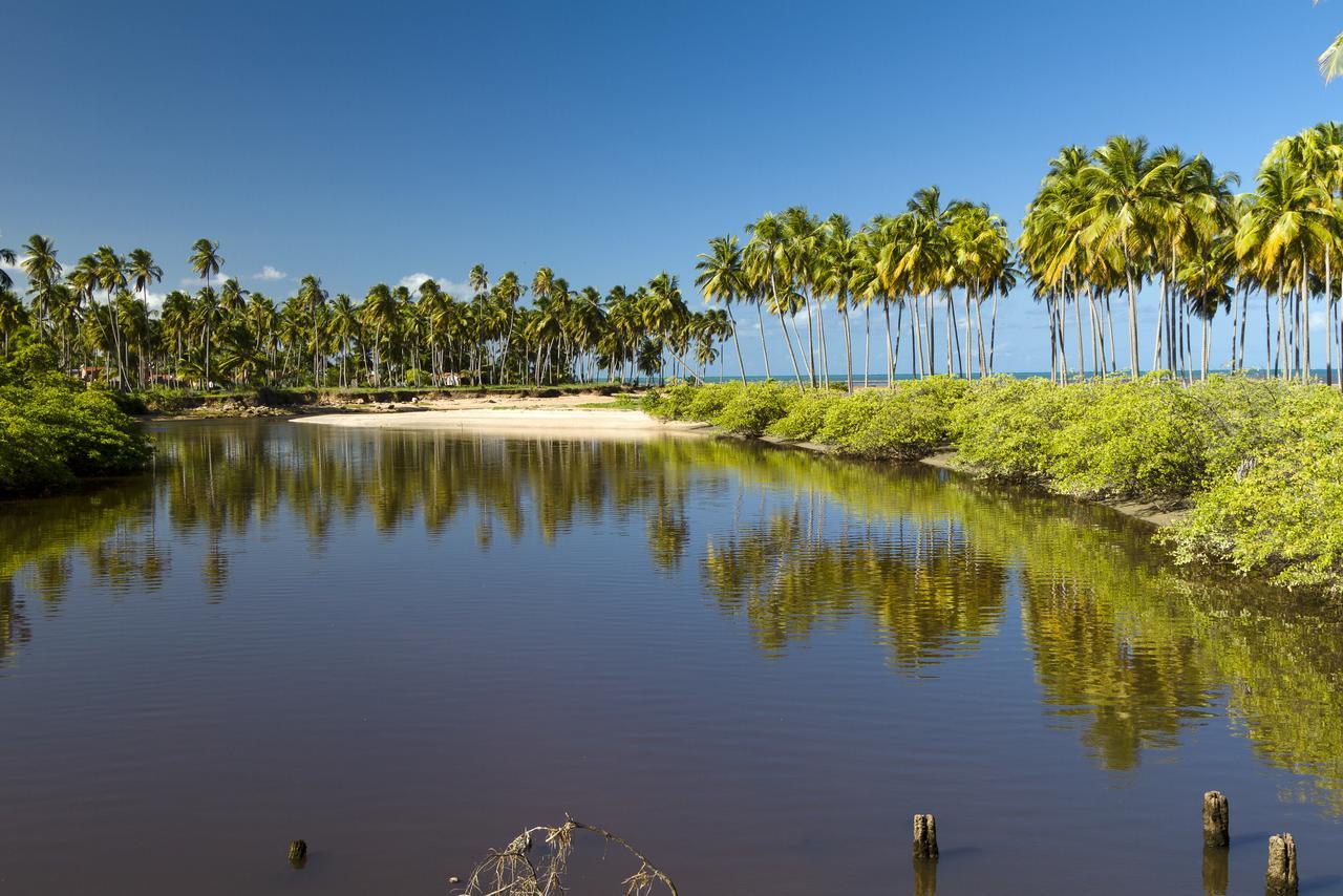 Maragogi Suítes Bagian luar foto